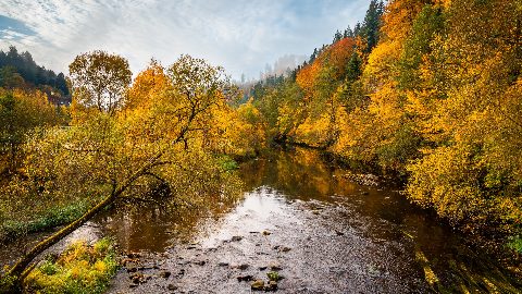 Streams API 3. 바이트 스트림과 실전 파이프라인